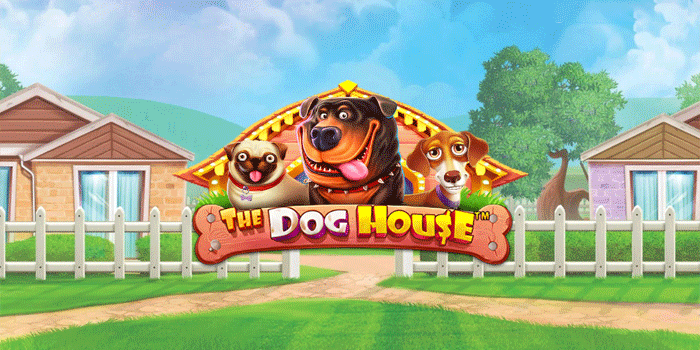 The Dog House Anjingnya Lebih Kaya Dari Majikannya